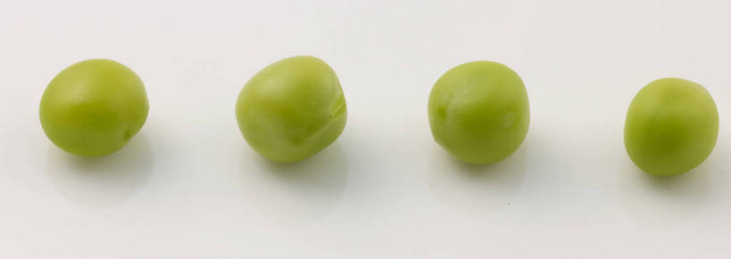 无人,横图,俯视,室内,特写,白天,植物,餐桌,桌子,蔬菜,一排,灰色背景,新鲜,整齐,豆类,豆子,豌豆,食品,荷兰豆,食物,排列,绿色,摄影,有机食品,绿色食品,影棚,餐台,队列,摄影棚,雪豆,豆科,寒豆,毕豆,麻累,国豆,小寒豆,麦豌豆,四粒,彩图,高角度拍摄,影棚拍摄,拍摄,shjb1