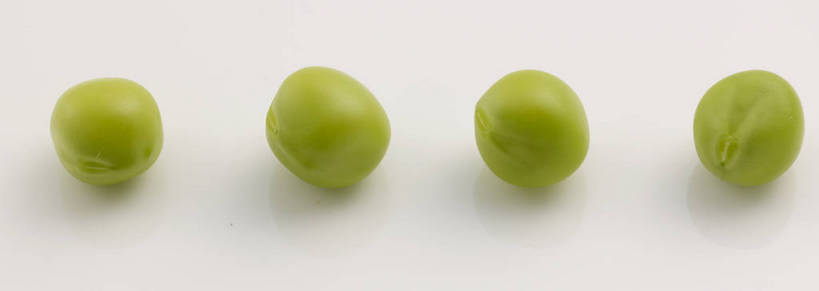 无人,横图,俯视,室内,特写,白天,植物,餐桌,桌子,蔬菜,一排,灰色背景,新鲜,整齐,豆类,豆子,豌豆,食品,荷兰豆,食物,排列,绿色,摄影,有机食品,绿色食品,影棚,餐台,队列,摄影棚,雪豆,豆科,寒豆,毕豆,麻累,国豆,小寒豆,麦豌豆,四粒,彩图,高角度拍摄,影棚拍摄,拍摄,shjb1