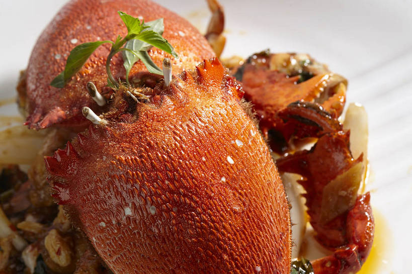 蟹,无人,横图,俯视,室内,特写,白天,烹饪,中餐,蔬菜,洋葱,餐具,新鲜,螃蟹,碟子,盘,香菜,调料,酱料,酱汁,佐料,料理,食品,调味品,调味料,酱,菜肴,美食,食物,一个,白色,盘子,碟,中式,佳肴,有机食品,绿色食品,单个,中华料理,玉葱,川菜,青蟹,胡菜,香荽,原荽,园荽,芫荽,胡荽,莞荽,芫茜,芫蓿,莚葛草,莚荽菜,甲壳动物,四川菜,荷兰葱,圆葱,洋葱头,球葱,葱头,彩图,高角度拍摄,香辣蟹,肉蟹,shjb1