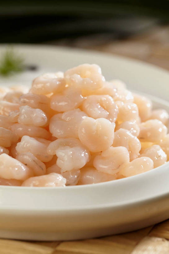 海鲜,无人,竖图,俯视,室内,特写,白天,烹饪,中餐,餐桌,桌子,餐具,一堆,许多,阴影,堆叠,堆积,朦胧,模糊,反射,碟子,盘,影子,肉,虾,虾仁,料理,食品,很多,水产,菜肴,美食,肉类,海洋生物,食物,一个,盘子,碟,中式,佳肴,对虾,单个,餐台,中华料理,堆,虾肉,水生动物,海产品,水生物,肉食,海底动物,本帮菜,沪菜,上海菜,彩图,高角度拍摄,清炒虾仁,shjb1