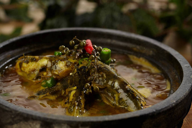 无人,横图,俯视,室内,特写,白天,烹饪,中餐,餐桌,桌子,辣椒,蔬菜,厨具,叶子,朦胧,模糊,新鲜,锅子,石锅,青椒,调味,肉,香料,鱼肉,佐料,料理,食品,绿叶,锅,菜肴,美食,肉类,食物,一个,红色,绿色,中式,嫩叶,佳肴,有机食品,绿色食品,单个,餐台,锅具,中华料理,花椒,山椒,配料,肉食,烹饪用具,辣角,红海椒,大椒,辣虎,广椒,作料,湖南菜,湘菜,大花椒,狗椒,红花椒,青花椒,蜀椒,香椒,叶,叶片,烹调用具,辣子,红辣椒,红椒,海椒,番椒,烹调,彩图,高角度拍摄,麻椒,shjb1,金福鱼,石锅鱼