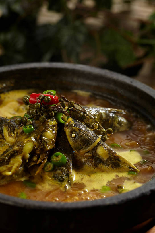 无人,竖图,俯视,室内,特写,白天,烹饪,中餐,辣椒,蔬菜,厨具,朦胧,模糊,新鲜,锅子,石锅,青椒,调味,肉,香料,鱼肉,佐料,料理,食品,锅,菜肴,美食,肉类,食物,一个,红色,绿色,中式,佳肴,有机食品,绿色食品,单个,锅具,中华料理,花椒,山椒,配料,肉食,烹饪用具,辣角,红海椒,大椒,辣虎,广椒,作料,湖南菜,湘菜,大花椒,狗椒,红花椒,青花椒,蜀椒,香椒,烹调用具,辣子,红辣椒,红椒,海椒,番椒,烹调,彩图,高角度拍摄,麻椒,shjb1,金福鱼,石锅鱼