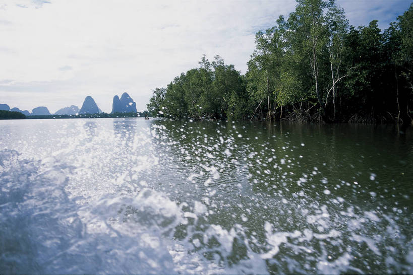横图,彩色,室外,白天,旅游,度假,海洋,名胜古迹,树林,标志建筑,地标,建筑,轮船,泰国,亚洲,游客,遗迹,海岸,热带,热带风光,古迹,文物,娱乐,建设,古建筑,普吉岛,游轮,游船,蓝色,天空,自然,海水,天,享受,休闲,旅游胜地,放松,摄影,生活方式,美好,自然风光,南亚,古文明,海,彩图,观光,旅行,bj174