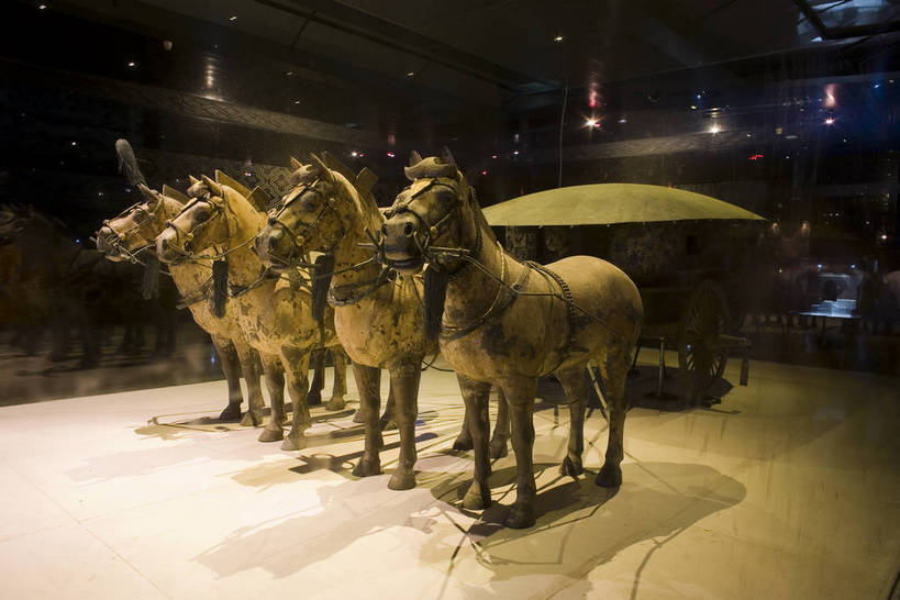 横图,彩色,室内,特写,白天,旅游,度假,名胜古迹,标志建筑,地标,建筑,雕塑,兵马俑,西安,中国,亚洲,许多,士兵,局部,遗迹,艺术,装饰,雕刻,雕像,浮雕,塑像,泥土,文化遗产,艺术品,很多,古迹,历史,文物,娱乐,建设,古建筑,建筑物,古代,工艺品,享受,休闲,旅游胜地,放松,摄影,古董,纪念,战士,美术,古物,文明,中国文化,主题,陈列,古玩,古文明,东亚,武装,陕西,陕西省,军队,中华人民共和国,功能,美学,古远,古代文明,一致,男人,男性,彩图,旅行,传统文化,服从,bj174