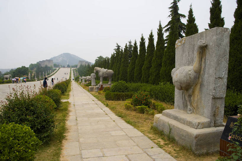 横图,彩色,室外,特写,白天,旅游,石头,道路,建筑,路,雕塑,兵马俑,西安,中国,亚洲,局部,艺术,装饰,雕刻,雕像,浮雕,石子,塑像,图案,图形,泥土,文化遗产,纪念碑,艺术品,历史,建筑物,古代,工艺品,墓地,摄影,纪念,美术,固定,陵墓,中国文化,主题,陈列,东亚,结实,陕西,陕西省,秦始皇陵,西安市,临潼,骊山,中华人民共和国,省会,功能,美学,安稳,牢固,可靠,西北地区,陕,古远,古代文明,巩固,坚固,牢靠,石,石块,彩图,旅行,临潼区,传统文化,秦陵,bj174