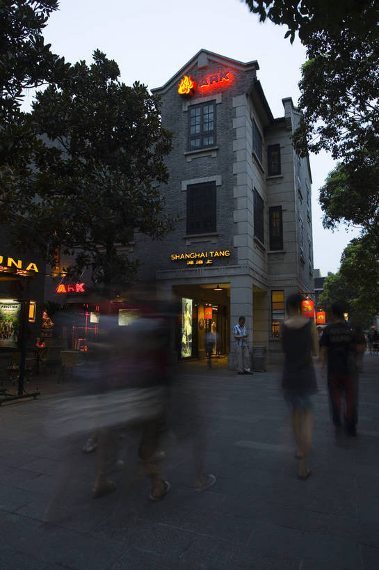 竖图,彩色,室外,购物,建筑,上海,中国,亚洲,楼阁,灯光,交通,广告,灰色,摄影,东亚,中华人民共和国,旅行,目的地,bj174