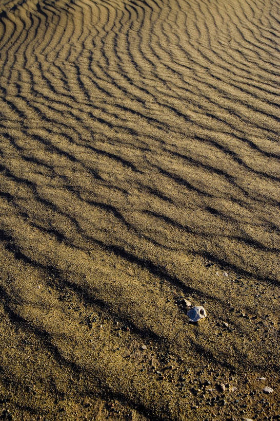 无人,竖图,彩色,石头,丘陵,中国,亚洲,波纹,堆积,辽阔,自然,石头山,广阔,摄影,地理,风化,中国文化,自然风光,东亚,新疆,雅丹地貌,中华人民共和国,苍凉,风蚀,石化,风蚀地貌,岩石层,岩石,彩图,雅丹,bj174