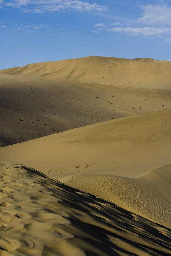 竖图,彩色,美景,沙漠,敦煌,中国,亚洲,阴影,曲线,黄沙,沙子,纹理,线条,景观,辽阔,沙丘,黄色,自然,广阔,金色,景色,摄影,地理,环境,弧线,自然风光,东亚,甘肃,甘肃省,中华人民共和国,西北地区,甘,酒泉,酒泉市,苍凉,敦煌鸣沙山,大漠,彩图,鸣沙山,风沙,bj174