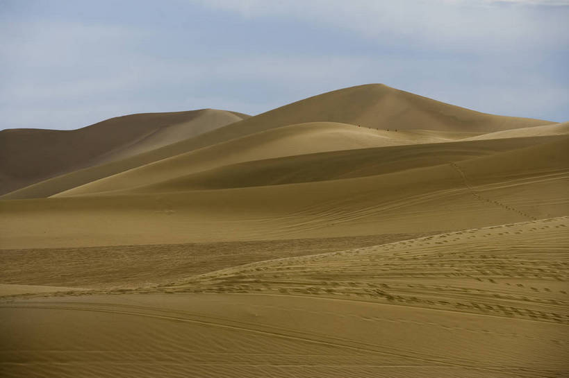 横图,彩色,背景,美景,沙漠,敦煌,中国,亚洲,阴影,黄沙,沙子,纹理,线条,景观,辽阔,沙丘,黄色,自然,广阔,金色,景色,摄影,地理,环境,连绵,绵延,自然风光,东亚,甘肃,甘肃省,中华人民共和国,西北地区,甘,酒泉,酒泉市,联贯,苍凉,敦煌鸣沙山,大漠,彩图,鸣沙山,风沙,bj174