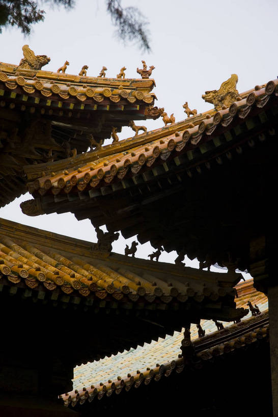 竖图,神秘,石头,建筑,雕塑,孔庙,中国,亚洲,龙,地砖,牌匾,房屋,墙,屋顶,屋檐,历史,山东,石雕,古代,石碑,旅游胜地,摄影,东亚,曲阜,孔子,中华人民共和国,古远,彩图,庙,bj174