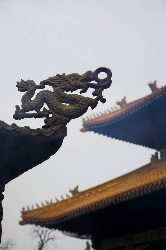 竖图,神秘,石头,建筑,雕塑,孔庙,中国,亚洲,龙,地砖,牌匾,房屋,墙,屋檐,历史,山东,石雕,古代,石碑,旅游胜地,摄影,东亚,曲阜,孔子,中华人民共和国,古远,彩图,庙,bj174