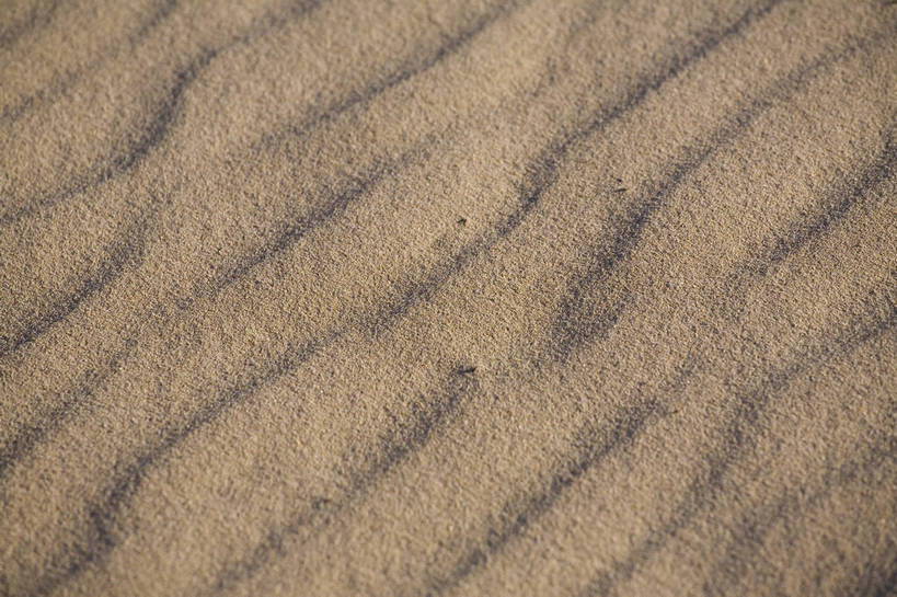 横图,室外,白天,沙漠,坝上,中国,亚洲,沙子,纹理,高原,沙丘,旅游胜地,摄影,东亚,内蒙古,中华人民共和国,砂石,彩图,bj174