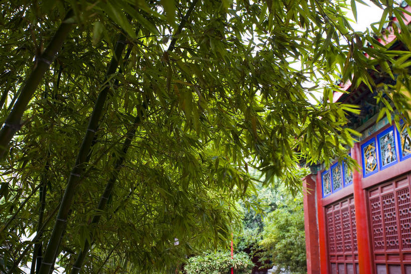 寺庙,横图,彩色,室外,白天,旅游,度假,名胜古迹,树林,标志建筑,地标,建筑,中国,亚洲,节日,遗迹,文化遗产,古迹,历史,文化,文物,娱乐,建设,古建筑,建筑物,树,古代,祈祷,享受,休闲,健康,旅游胜地,放松,许愿,摄影,宗教,佛教,信仰,纪念,祈求,文明,古文明,东亚,中华人民共和国,河南,释教,古远,幽静,平安,彩图,旅行,庙,寺,大相国寺,建筑结构,bj174