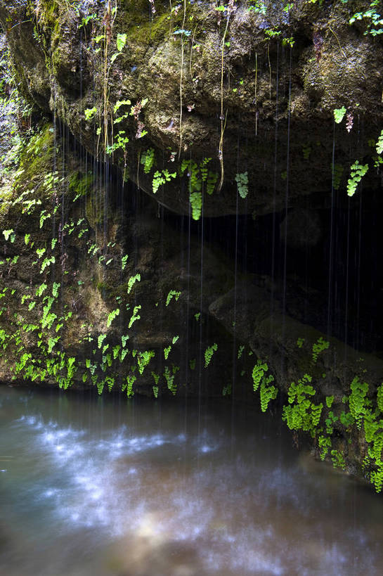 竖图,彩色,旅游,石头,美景,瀑布,山,水,溪流,喷泉,云台山,中国,亚洲,流水,水潭,潭,自然,景色,竖,摄影,清新,自然风光,东亚,中华人民共和国,河南省,彩图,旅行,bj174