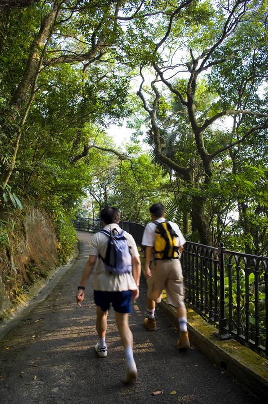 竖图,彩色,室外,白天,锻炼,度假,美景,城市风光,城市,香港,中国,亚洲,图片,景观,娱乐,树,晨练,享受,休闲,景色,放松,竖,摄影,生活方式,东亚,中华人民共和国,太平山,彩图,bj174