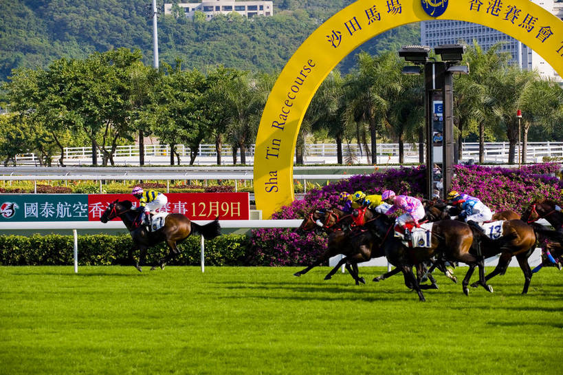 横图,彩色,室外,白天,旅游,度假,比赛,美景,城市风光,城市,香港,中国,亚洲,行人,游客,游人,图片,景观,娱乐,路人,旅客,享受,休闲,旅游胜地,景色,放松,摄影,港,参观,东亚,新界,香港特别行政区,港澳台,中华人民共和国,繁荣,发达,过客,沙田区,沙田,赛马,旅游者,彩图,旅行,跑马地,香港奥运马术比赛场地,沙田马场,沙田赛马场,bj174