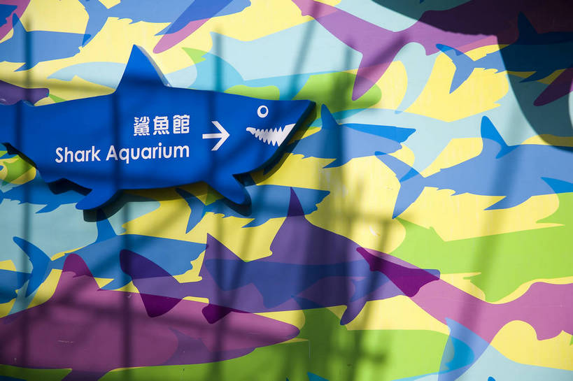 人群,横图,彩色,室外,白天,旅游,度假,美景,城市风光,城市,香港,中国,亚洲,行人,游客,游人,表演,鱼,图片,景观,美丽,娱乐,鱼类,路人,旅客,海洋馆,海洋公园,享受,休闲,旅游胜地,景色,放松,摄影,观看,海滨,参观,东亚,海底动物,中华人民共和国,繁荣,绚丽,发达,过客,海,旅游者,彩图,旅行,bj174