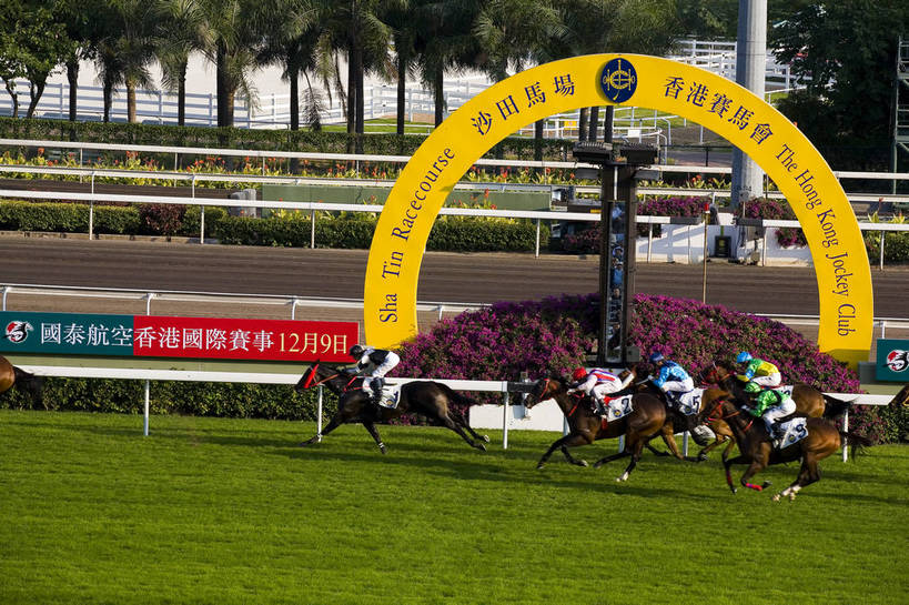 横图,彩色,室外,白天,旅游,度假,美景,城市风光,城市,香港,中国,亚洲,行人,游客,游人,图片,景观,娱乐,路人,旅客,享受,休闲,旅游胜地,景色,放松,摄影,港,参观,东亚,赛马场,新界,香港特别行政区,港澳台,中华人民共和国,繁荣,发达,过客,沙田区,沙田,赛马,旅游者,彩图,旅行,跑马地,香港奥运马术比赛场地,沙田马场,沙田赛马场,bj174