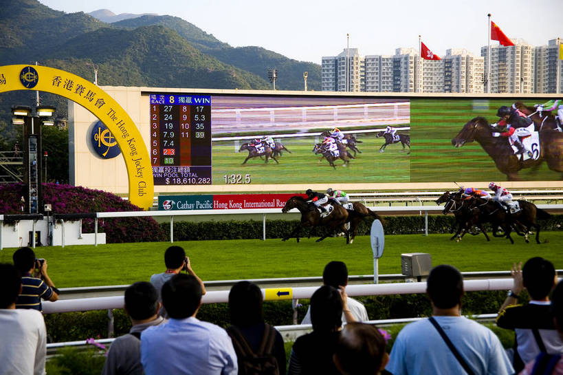 横图,彩色,室外,白天,旅游,度假,美景,城市风光,城市,香港,中国,亚洲,行人,游客,游人,图片,景观,娱乐,路人,旅客,享受,休闲,旅游胜地,景色,放松,摄影,港,参观,东亚,赛马场,新界,香港特别行政区,港澳台,中华人民共和国,繁荣,发达,过客,沙田区,沙田,赛马,旅游者,彩图,旅行,跑马地,香港奥运马术比赛场地,沙田马场,沙田赛马场,bj174