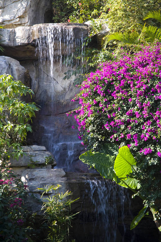 竖图,彩色,室外,旅游,度假,纯洁,瀑布,水,田园,白云山,广州,中国,野花,美丽,娱乐,花,小溪,自然,溪水,休闲,假日,景色,放松,可爱,竖,童年,童趣,摄影,轻松,矗立,美好,清新,耸立,参观,童真,烂漫,无邪,广东,广州市,挺立,松弛,天真,溪,彩图,旅行,松懈,bj174