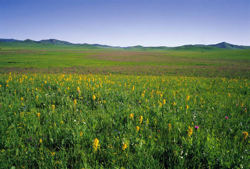 横图,彩色,室外,白天,旅游,度假,草地,草原,名胜古迹,标志建筑,地标,建筑,中国,亚洲,遗迹,图片,古迹,文物,娱乐,建设,古建筑,自然,夏天,享受,休闲,远景,旅游胜地,放松,摄影,古文明,东亚,内蒙古,旅行,bj174