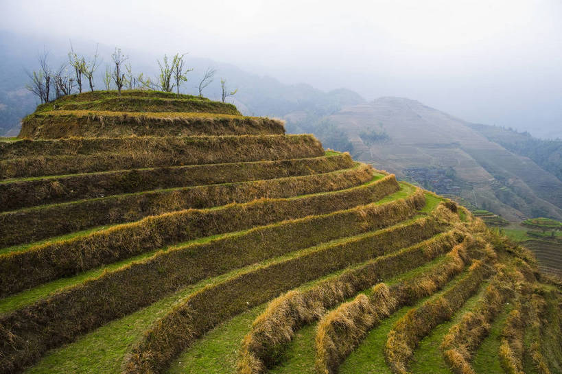 农田,横图,室外,白天,旅游,度假,农业,梯田,名胜古迹,田园,标志建筑,地标,建筑,中国,亚洲,遗迹,民俗,景观,文化遗产,古迹,文物,娱乐,建设,古建筑,特色,自然,享受,休闲,旅游胜地,景色,放松,人文景观,广西,耕作,中国文化,古文明,东亚,龙胜,龙脊梯田,中华人民共和国,古代文明,旅行,传统文化,bj174