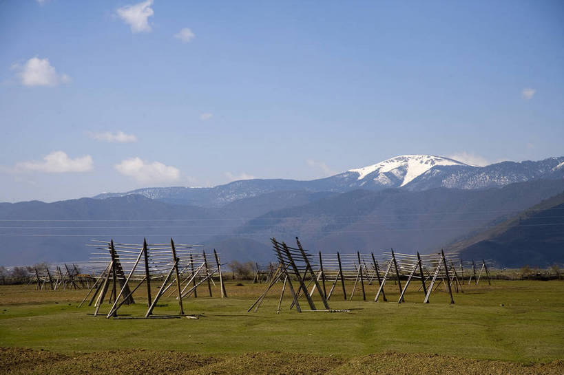 公园,农田,横图,室外,白天,旅游,农业,庄稼,美景,山,田园,植物,香格里拉,中国,亚洲,民俗,景观,迪庆,云南,特色,白云,天空,自然,景色,人文景观,国家公园,远山,中国文化,自然风光,东亚,中甸,迪庆藏族自治州,云南省,中华人民共和国,西南地区,滇,迪庆州,农舍,香格里拉县,普达措国家公园,旅行,传统文化,bj174