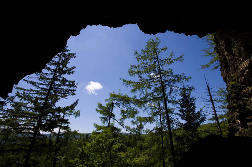 横图,彩色,室外,特写,白天,旅游,度假,名胜古迹,森林,树林,标志建筑,地标,建筑,中国,亚洲,局部,遗迹,图片,古迹,文物,娱乐,建设,古建筑,树木,自然,享受,休闲,旅游胜地,景色,放松,摄影,黑,美好,自然风光,古文明,东亚,黑龙江,黑龙江省,中华人民共和国,东北地区,牡丹江,牡丹江市,幽静,旅行,镜泊湖,镜泊湖国家级风景名胜区,镜泊湖景区,镜泊湖世界地质公园,宁安,宁安市,吊水楼瀑布,东北,镜泊湖瀑布,中国东北地区,东北三省,东三省,地下森林,火山口原始森林,bj174