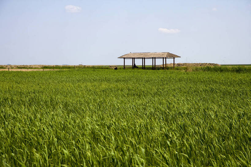 横图,彩色,室外,白天,旅游,度假,草地,草坪,湖,湖泊,名胜古迹,植物,标志建筑,地标,建筑,中国,亚洲,遗迹,民俗,图片,古迹,文物,娱乐,建设,古建筑,草,绿色,自然,享受,休闲,旅游胜地,景色,放松,摄影,美好,自然风光,古文明,东亚,黑龙江,中华人民共和国,齐齐哈尔,保护区,旅行,扎龙自然保护区,草甸,bj174