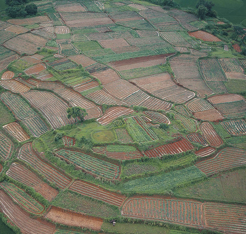 农田,横图,航拍,彩色,室外,白天,旅游,田园,中国,亚洲,景观,自然,远景,摄影,人文景观,耕作,鸟瞰,东亚,地貌,四川,中华人民共和国,旅行,地质,bj174