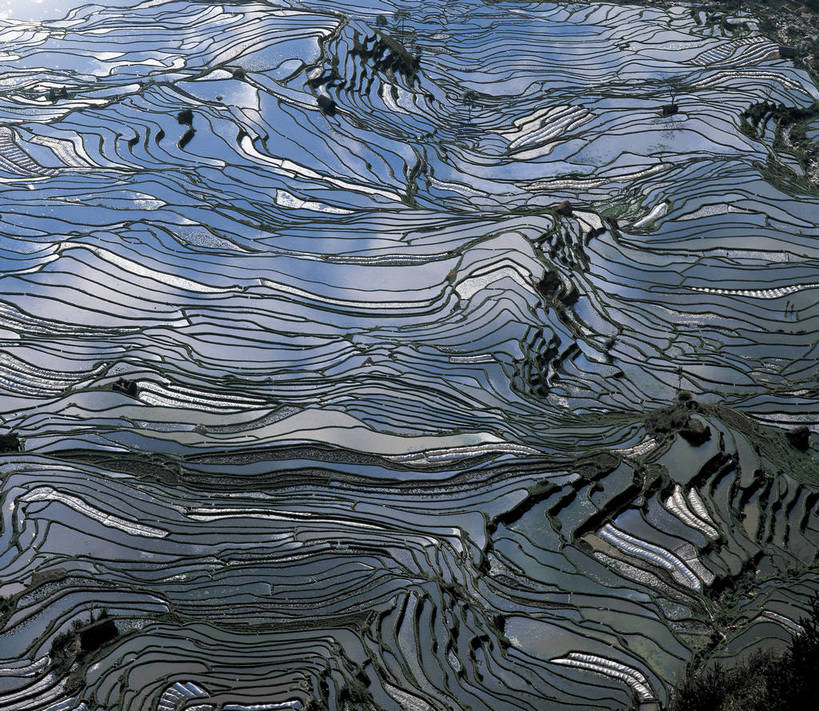 农田,横图,航拍,彩色,室外,白天,旅游,庄稼,梯田,农作物,田园,中国,亚洲,景观,云南,自然,远景,摄影,人文景观,耕作,鸟瞰,东亚,地貌,中华人民共和国,元阳梯田,旅行,耕地,庄稼田,地质,bj174