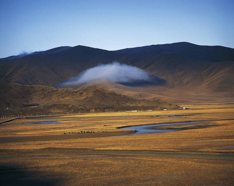 横图,彩色,室外,白天,旅游,河流,丘陵,山,牛,中国,亚洲,放牧,壮观,景观,云雾,自然,远景,旅游胜地,摄影,人文景观,地理,空旷,东亚,地貌,四川,游牧,中华人民共和国,苍凉,旅行,红原,地质,bj174