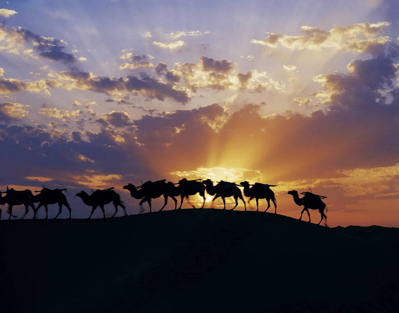 横图,彩色,室外,白天,旅游,度假,荒凉,名胜古迹,丘陵,沙漠,标志建筑,地标,建筑,野生动物,中国,亚洲,许多,起伏,遗迹,壮观,景观,沙丘,很多,美丽,古迹,文物,娱乐,建设,古建筑,骆驼,阳光,自然,动物,享受,休闲,旅游胜地,彩霞,放松,运输,摄影,人文景观,地理,古文明,东亚,地貌,沙漠之舟,中华人民共和国,原驼,旅行,地质,bj174