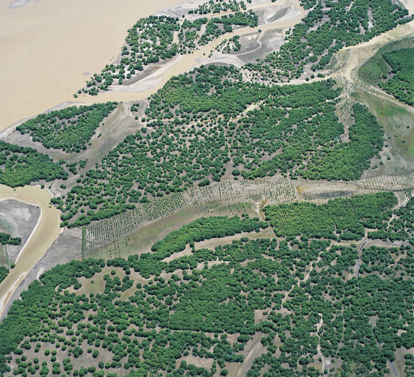 横图,俯视,航拍,彩色,室外,白天,旅游,草地,草坪,植物,中国,亚洲,景观,草,绿色,自然,摄影,人文景观,湿地,鸟瞰,江岸,滩涂,东亚,地貌,中华人民共和国,江,旅行,地质,草甸,bj174