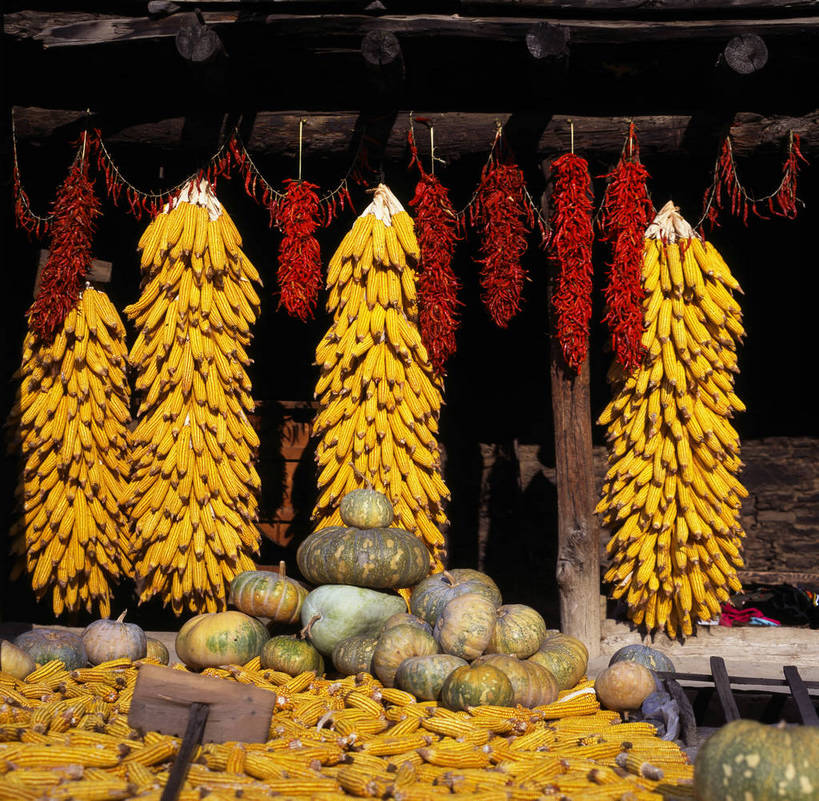 横图,玉米,中国,亚洲,农村,乡下,东亚,四川,中华人民共和国,bj174