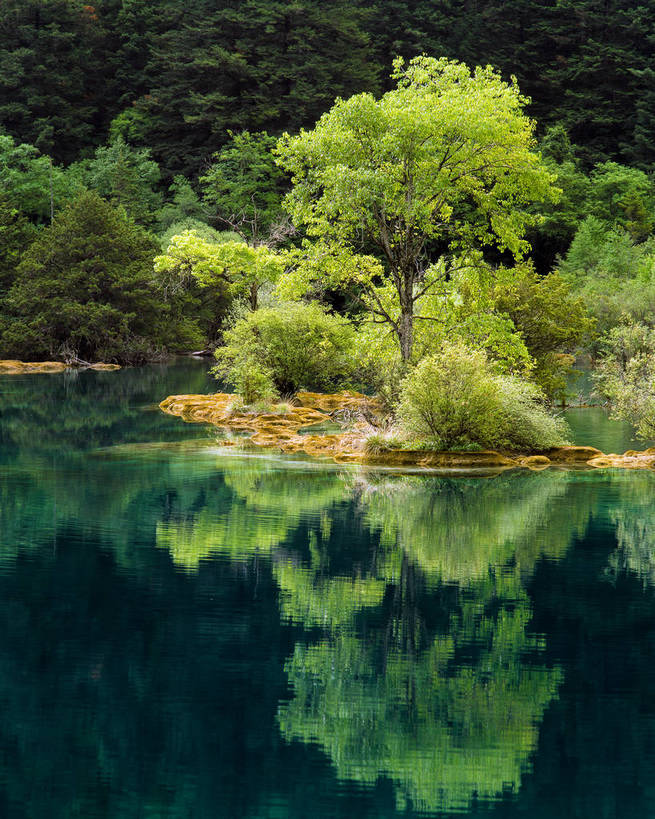 竖图,湖泊,河流,树林,九寨沟,中国,亚洲,清澈,绿色的,绿色,竖,摄影,矗立,耸立,东亚,四川,中华人民共和国,挺立,彩图,bj174