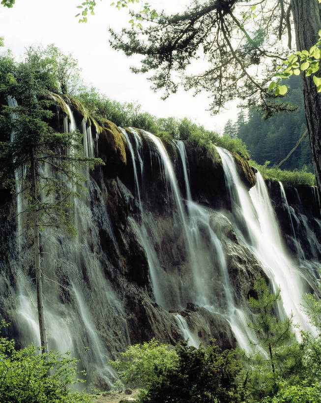 竖图,河流,瀑布,树林,九寨沟,中国,亚洲,清澈,绿色的,绿色,竖,摄影,矗立,耸立,东亚,四川,中华人民共和国,挺立,彩图,bj174