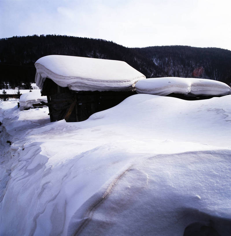 竖图,室外,白天,美景,雪,中国,亚洲,景观,乡村,冬季,冬天,下雪,农村,自然,景色,竖,摄影,矗立,自然风光,耸立,东亚,中华人民共和国,挺立,彩图,雪乡,东北,bj174
