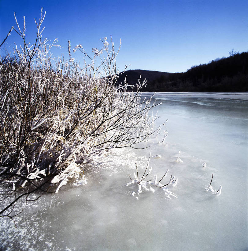 竖图,室外,白天,河流,美景,雪,中国,亚洲,景观,乡村,冬季,冬天,下雪,农村,冰冻,树木,自然,景色,竖,摄影,矗立,自然风光,冻结,耸立,东亚,中华人民共和国,挺立,彩图,雪乡,东北,bj174