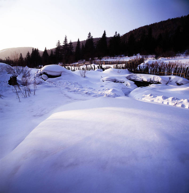 竖图,室外,白天,美景,树林,雪,中国,亚洲,景观,乡村,冬季,冬天,下雪,农村,自然,景色,竖,摄影,矗立,自然风光,耸立,东亚,中华人民共和国,挺立,彩图,雪乡,东北,bj174