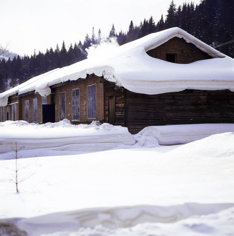 竖图,室外,白天,美景,树林,雪,中国,亚洲,房屋,景观,乡村,冬季,冬天,下雪,农村,自然,景色,竖,摄影,矗立,自然风光,耸立,东亚,中华人民共和国,挺立,彩图,雪乡,东北,bj174