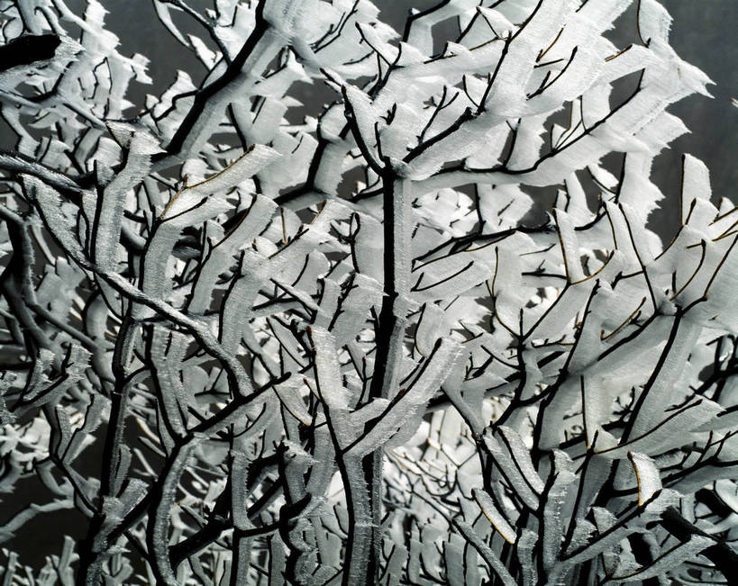 横图,树林,中国,亚洲,结冰,冬季,冬天,下雪,冰冻,摄影,东亚,中华人民共和国,彩图,bj174