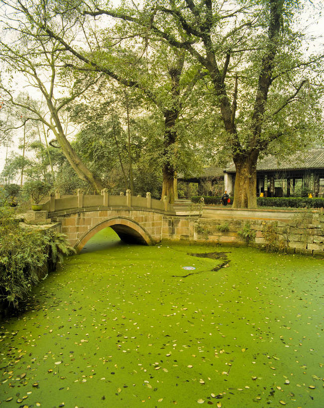 竖图,美景,森林,树林,中国,亚洲,房屋,池塘,景观,树木,白云,蓝天,自然,景色,竖,摄影,山林,矗立,自然风光,耸立,东亚,中华人民共和国,挺立,秋天,彩图,bj174