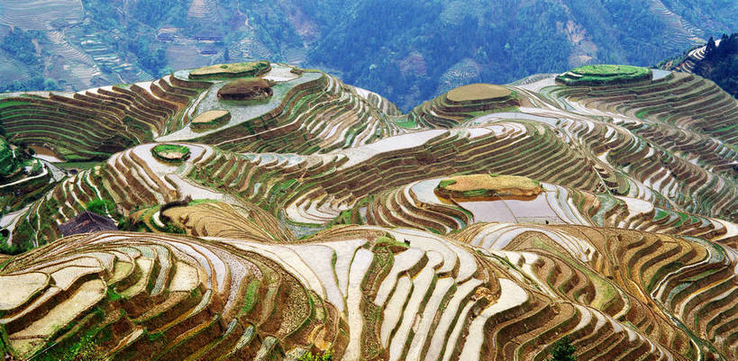 横图,全景,俯视,航拍,重复,梯田,丘陵,中国,亚洲,重叠,农村,自然,摄影,广西,乡间,东亚,中华人民共和国,彩图,bj174