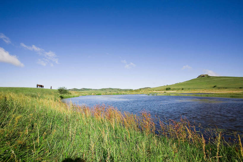 公园,横图,彩色,室外,白天,草地,草原,湖,马,坝上,中国,亚洲,放牧,景观,水塘,草,树木,绿色,白云,风景,天空,自然,蒙,摄影,远山,自然风光,东亚,内蒙古,中华人民共和国,华北地区,内蒙古自治区,赤峰,赤峰市,牧马,克旗,克什克腾旗,乌兰布通,乌兰布统,乌兰布统乡,克什克腾大草原,克什克腾世界地质公园,内蒙古克什克腾世界地质公园,乌兰布统草原,红山军马场,bj174
