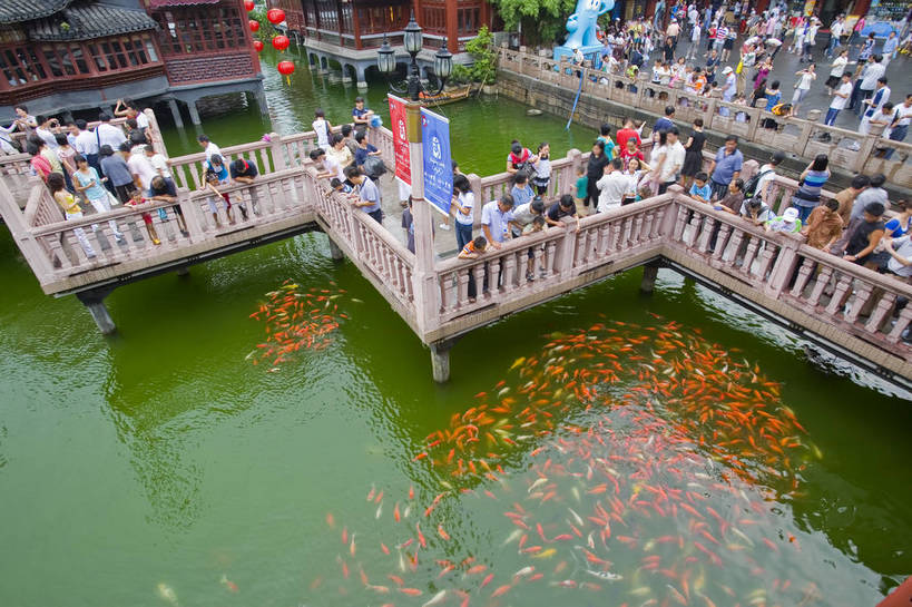 横图,彩色,室外,白天,旅游,度假,名胜古迹,标志建筑,地标,建筑,上海,中国,亚洲,遗迹,池塘,景观,文化遗产,建筑群,走廊,古典,古迹,文物,娱乐,建设,古建筑,历史建筑,豫园,享受,休闲,旅游胜地,放松,摄影,鱼池,回廊,文明,中国文化,古文明,东亚,中华人民共和国,旅行,bj174