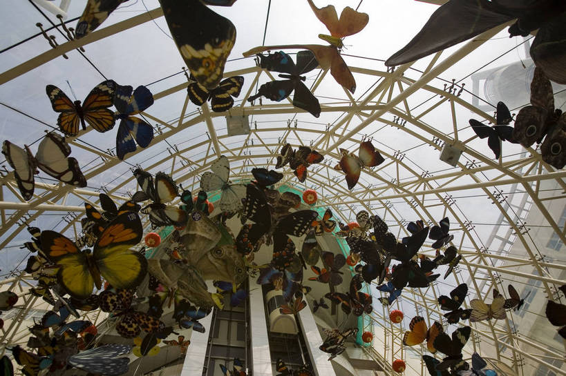 横图,彩色,室内,特写,白天,仰视,旅游,度假,名胜古迹,标志建筑,地标,建筑,蝴蝶,上海,中国,亚洲,局部,遗迹,标本,景观,古迹,文物,娱乐,建设,古建筑,浦东,享受,休闲,旅游胜地,放松,摄影,上海科技馆,部分,申,浦东新区,世纪大道,古文明,东亚,上海市,中华人民共和国,沪,华东地区,旅行,上海浦东新区青少年活动中心,bj174