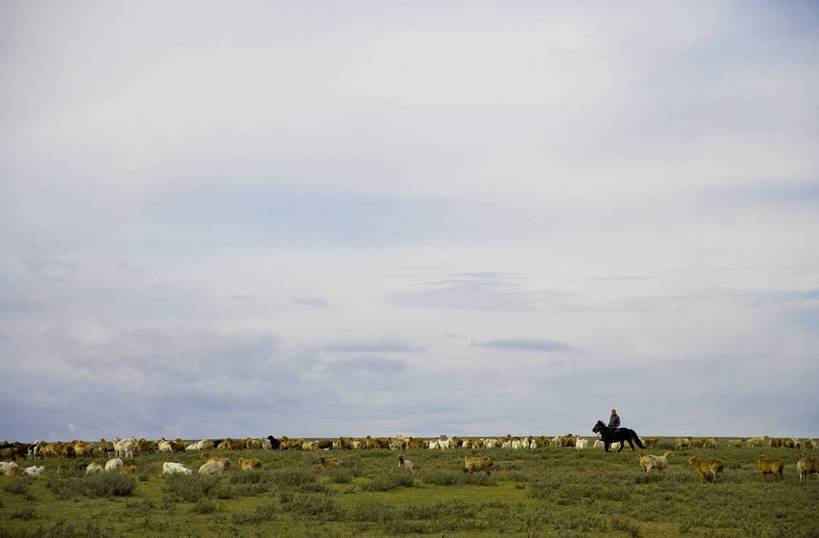 横图,彩色,室外,白天,草原,美景,田园,羊,中国,亚洲,放牧,民俗,景观,羊群,自然,景色,摄影,自然风光,东亚,游牧,新疆,中华人民共和国,阿勒泰,bj174
