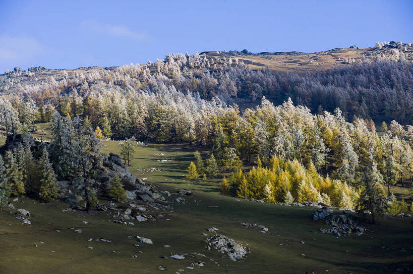 无人,横图,彩色,室外,白天,旅游,度假,草原,名胜古迹,树林,标志建筑,地标,建筑,中国,亚洲,遗迹,古迹,文物,娱乐,建设,古建筑,树,自然,享受,休闲,旅游胜地,放松,摄影,自然风光,杉树,古文明,东亚,新疆,中华人民共和国,阿勒泰,旅行,禾木,bj174