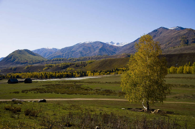 无人,横图,彩色,室外,白天,旅游,度假,草原,名胜古迹,树林,标志建筑,地标,建筑,中国,亚洲,遗迹,古迹,文物,娱乐,建设,古建筑,树,自然,一棵树,享受,休闲,旅游胜地,放松,摄影,远山,自然风光,杉树,古文明,东亚,新疆,中华人民共和国,阿勒泰,旅行,禾木,bj174